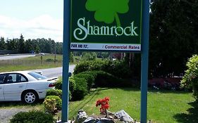 Shamrock Motel 2*